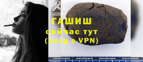 мдпв Козельск
