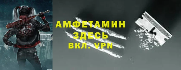 мдпв Козельск