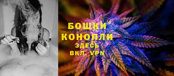 мдпв Козельск